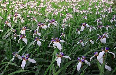 《夺宝奇兵：古老之圈》不鼓励枪战 多运用头脑和鞭子